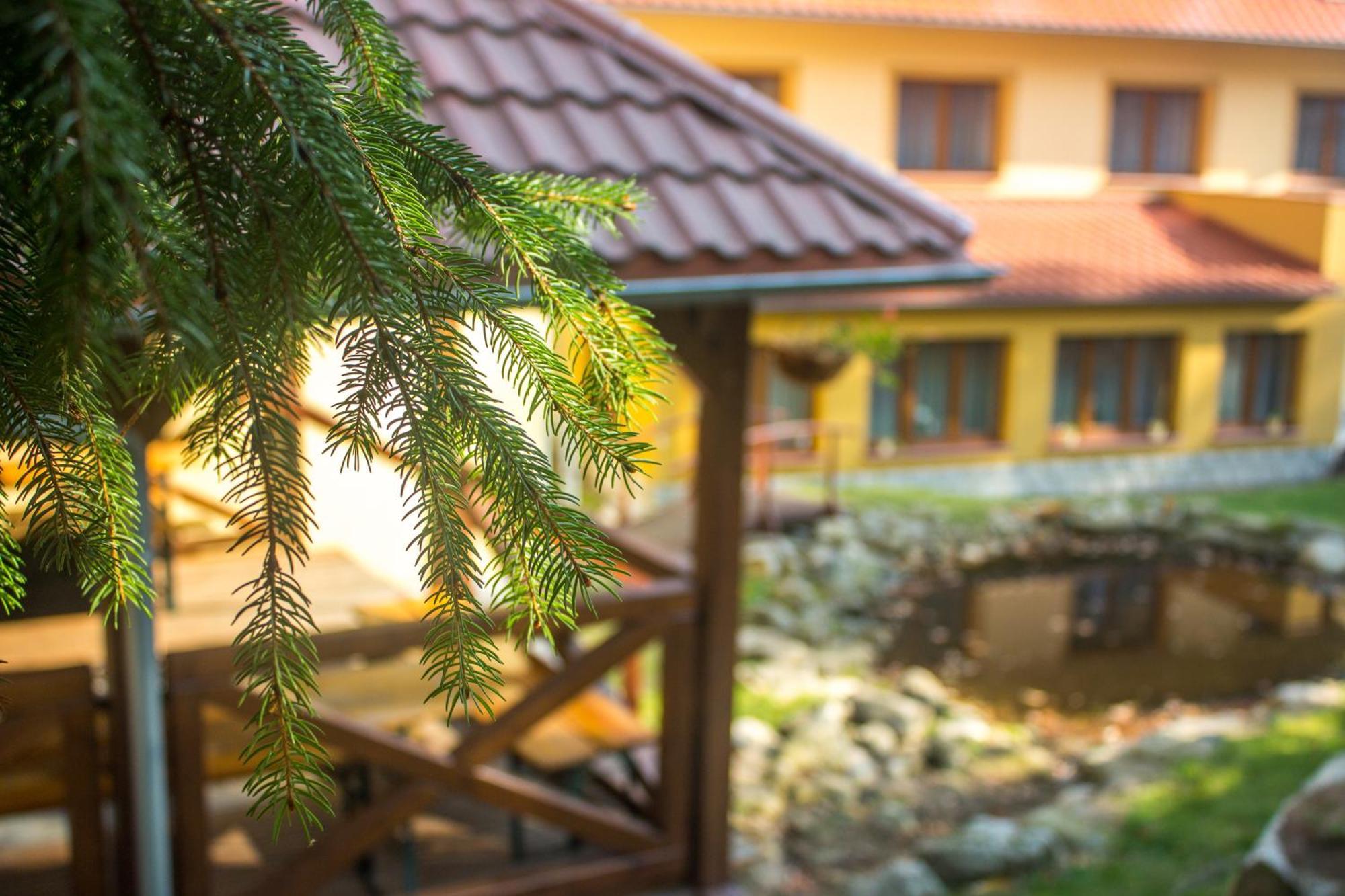 Hotel Dobry Klimat Шклярска Поремба Екстериор снимка